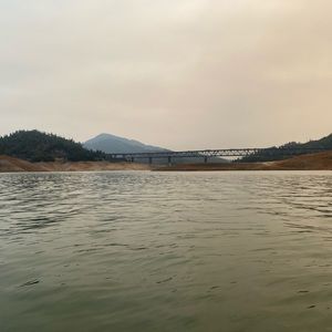 Meet your Posher, Bella